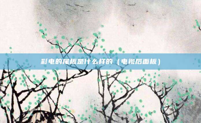 彩电的尾板是什么样的（电视后面板）