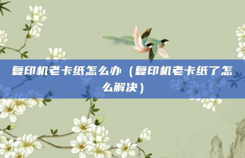 复印机老卡纸怎么办(复印机老卡纸了怎么解决)