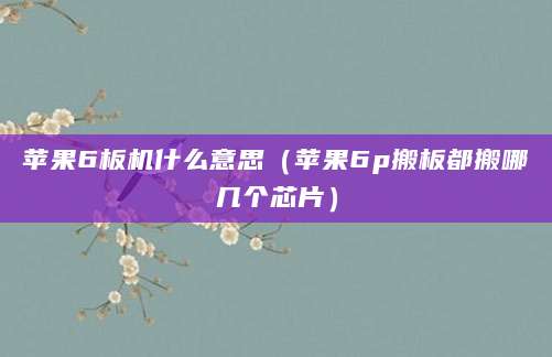 苹果6板机什么意思（苹果6p搬板都搬哪几个芯片）