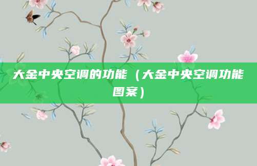 大金中央空调的功能（大金中央空调功能图案）