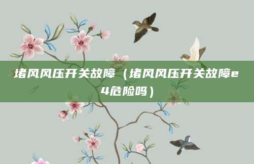堵风风压开关故障（堵风风压开关故障e4危险吗）