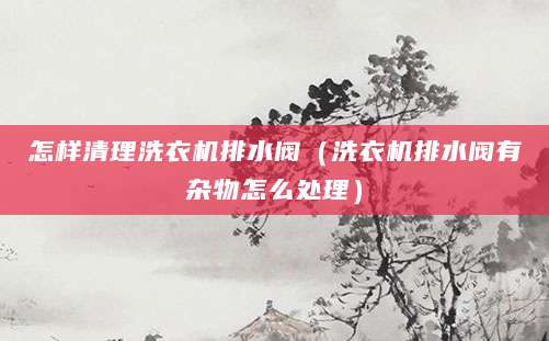 怎样清理洗衣机排水阀（洗衣机排水阀有杂物怎么处理）