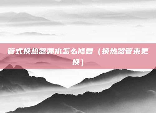 管式换热器漏水怎么修复（换热器管束更换）