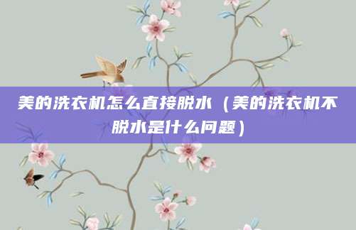 美的洗衣机怎么直接脱水（美的洗衣机不脱水是什么问题）
