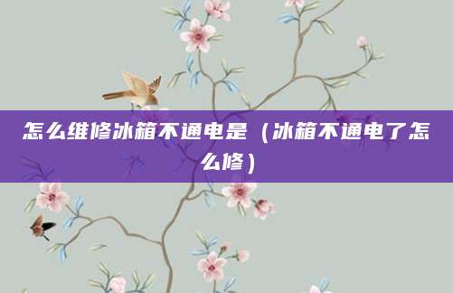 怎么维修冰箱不通电是（冰箱不通电了怎么修）