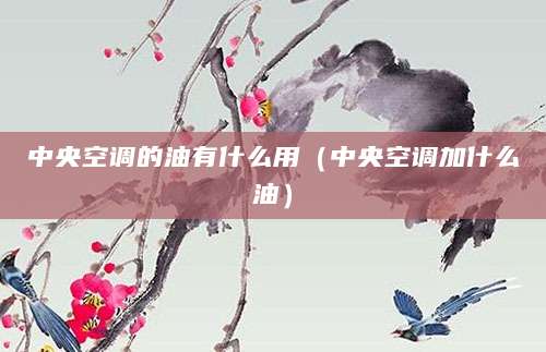 中央空调的油有什么用（中央空调加什么油）