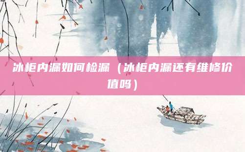 冰柜内漏如何检漏（冰柜内漏还有维修价值吗）