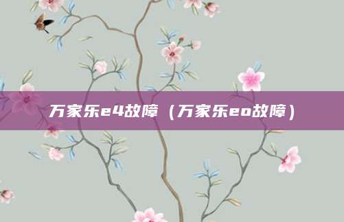 万家乐e4故障（万家乐eo故障）