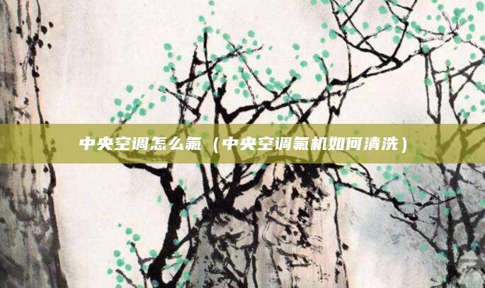中央空调怎么氟（中央空调氟机如何清洗）