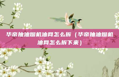 华帝抽油烟机油网怎么拆（华帝抽油烟机油网怎么拆下来）