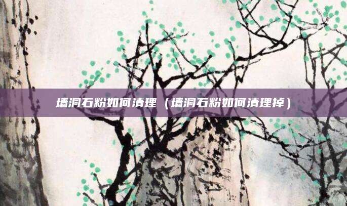 墙洞石粉如何清理（墙洞石粉如何清理掉）