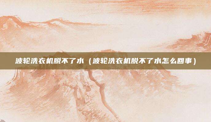 波轮洗衣机脱不了水（波轮洗衣机脱不了水怎么回事）