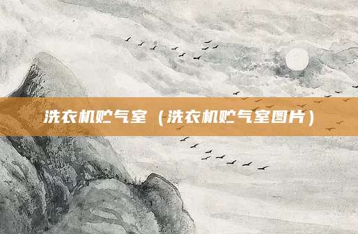 洗衣机贮气室（洗衣机贮气室图片）