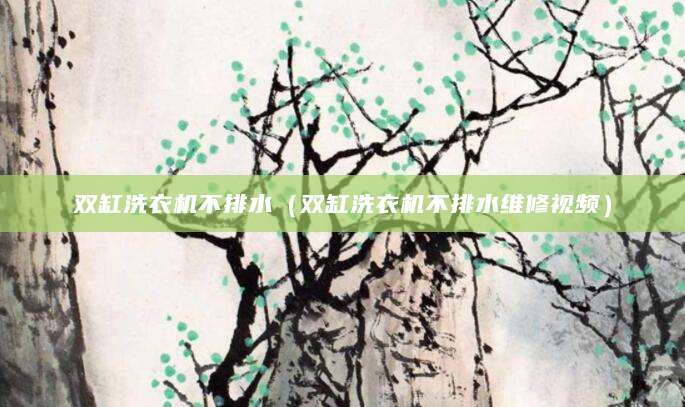双缸洗衣机不排水（双缸洗衣机不排水维修视频）