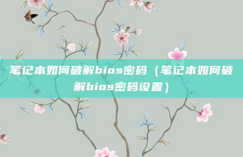 笔记本如何破解bios密码（笔记本如何破解bios密码设置）