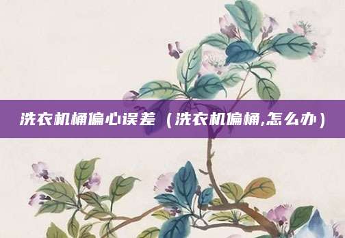 洗衣机桶偏心误差（洗衣机偏桶,怎么办）