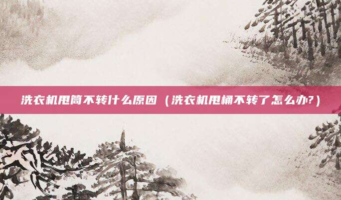 洗衣机甩筒不转什么原因（洗衣机甩桶不转了怎么办?）