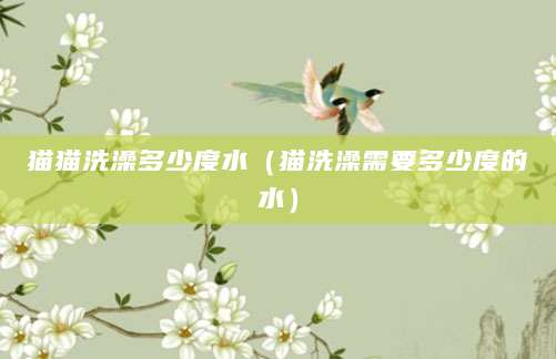 猫猫洗澡多少度水（猫洗澡需要多少度的水）