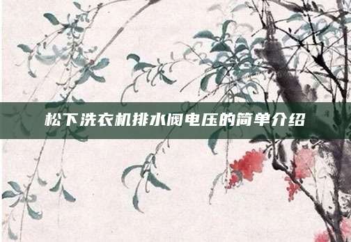 松下洗衣机排水阀电压的简单介绍