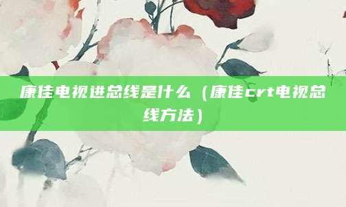 康佳电视进总线是什么（康佳crt电视总线方法）