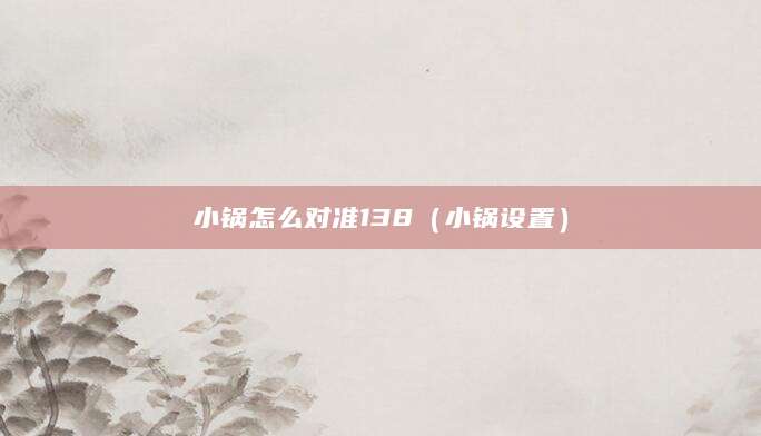 小锅怎么对准138（小锅设置）