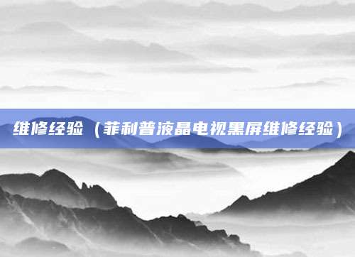 维修经验（菲利普液晶电视黑屏维修经验）