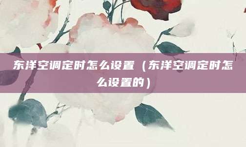 东洋空调定时怎么设置（东洋空调定时怎么设置的）