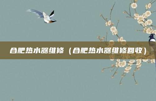 合肥热水器维修（合肥热水器维修回收）