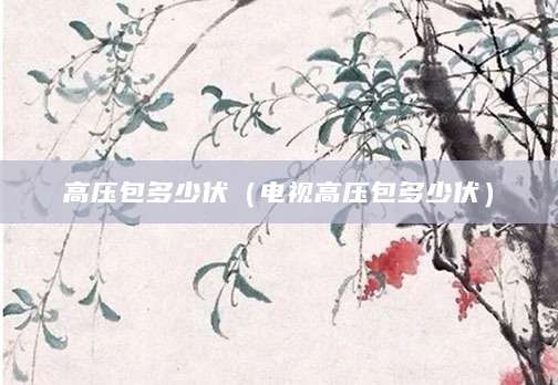高压包多少伏（电视高压包多少伏）
