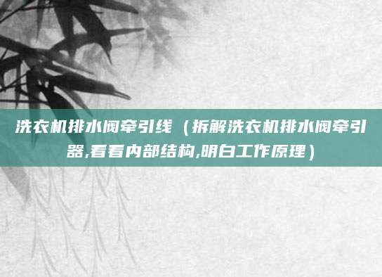 洗衣机排水阀牵引线（拆解洗衣机排水阀牵引器,看看内部结构,明白工作原理）