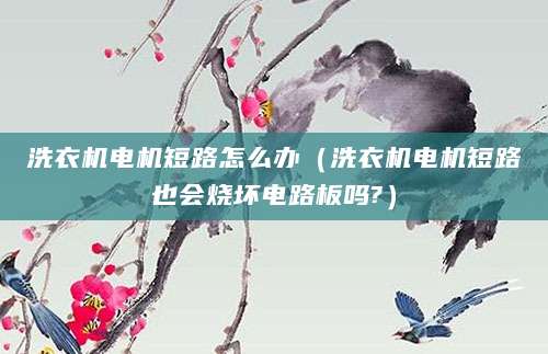 洗衣机电机短路怎么办（洗衣机电机短路也会烧坏电路板吗?）