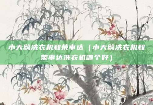 小天鹅洗衣机和荣事达(小天鹅洗衣机和荣事达洗衣机哪个好)