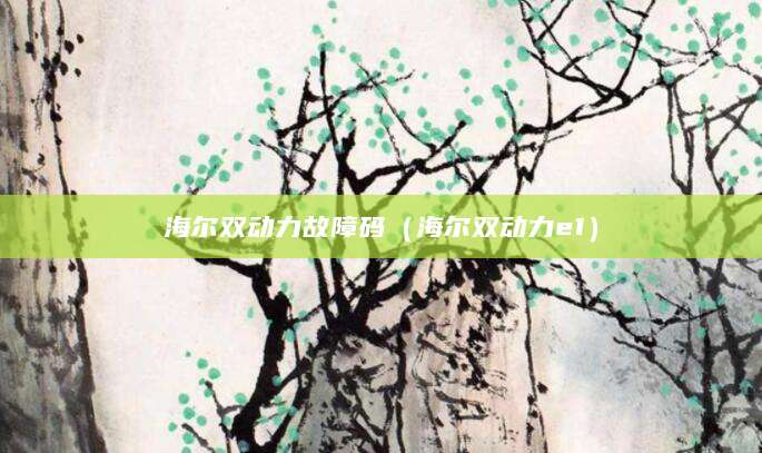 海尔双动力故障码（海尔双动力e1）