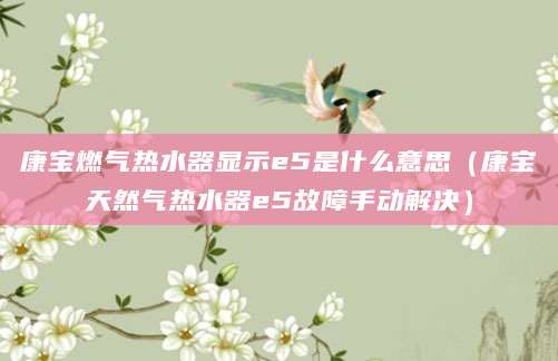 康宝燃气热水器显示e5是什么意思（康宝天然气热水器e5故障手动解决）
