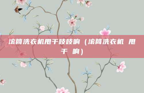 滚筒洗衣机甩干吱吱响（滚筒洗衣机 甩干 响）