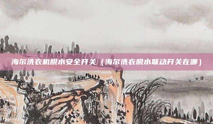海尔洗衣机脱水安全开关（海尔洗衣脱水联动开关在哪）