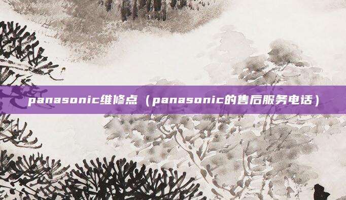 panasonic维修点（panasonic的售后服务电话）