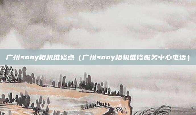 广州sony相机维修点（广州sony相机维修服务中心电话）