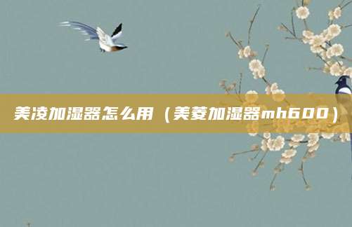 美凌加湿器怎么用（美菱加湿器mh600）