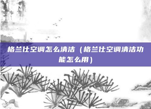 格兰仕空调怎么清洁（格兰仕空调清洁功能怎么用）