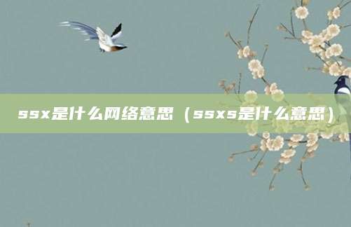ssx是什么网络意思（ssxs是什么意思）