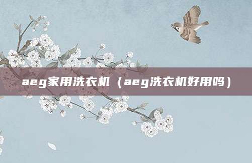 aeg家用洗衣机(aeg洗衣机好用吗)