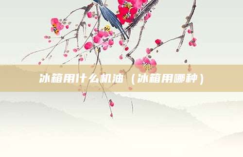 冰箱用什么机油（冰箱用哪种）