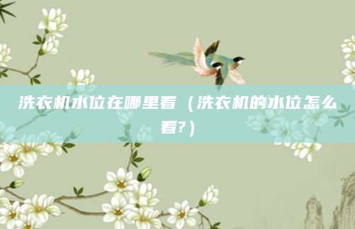 洗衣机水位在哪里看（洗衣机的水位怎么看?）