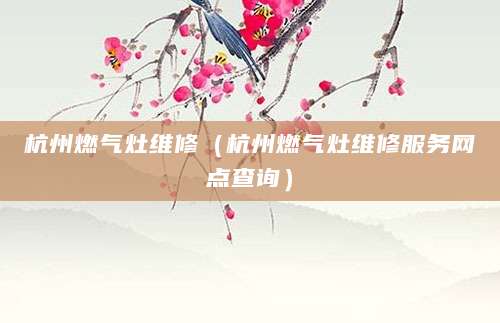 杭州燃气灶维修(杭州燃气灶维修服务网点查询)