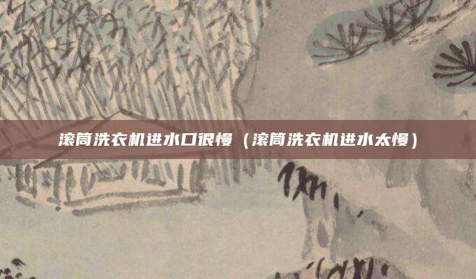 滚筒洗衣机进水口很慢（滚筒洗衣机进水太慢）