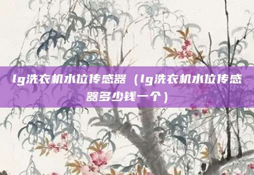 lg洗衣机水位传感器（lg洗衣机水位传感器多少钱一个）
