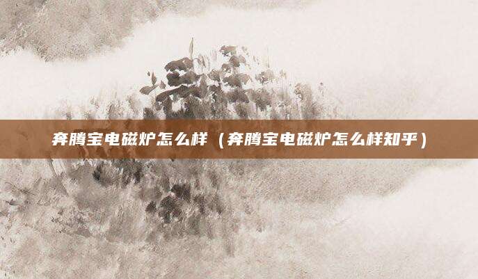 奔腾宝电磁炉怎么样（奔腾宝电磁炉怎么样知乎）