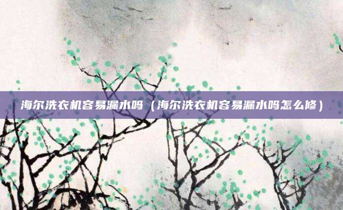 海尔洗衣机容易漏水吗（海尔洗衣机容易漏水吗怎么修）