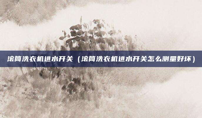 滚筒洗衣机进水开关（滚筒洗衣机进水开关怎么测量好坏）